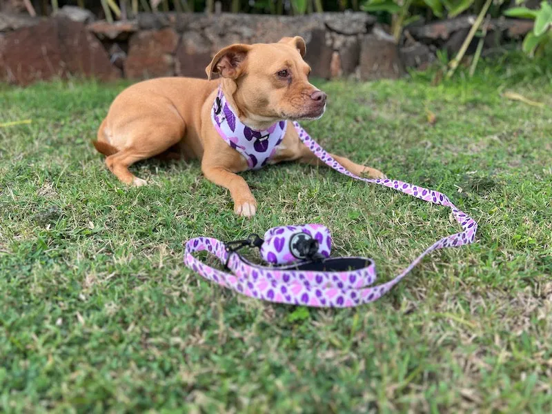 Eha Pets: Elepaio Ha Kea Kalo Leash